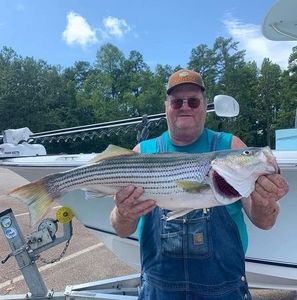 Meet your Posher, Findley